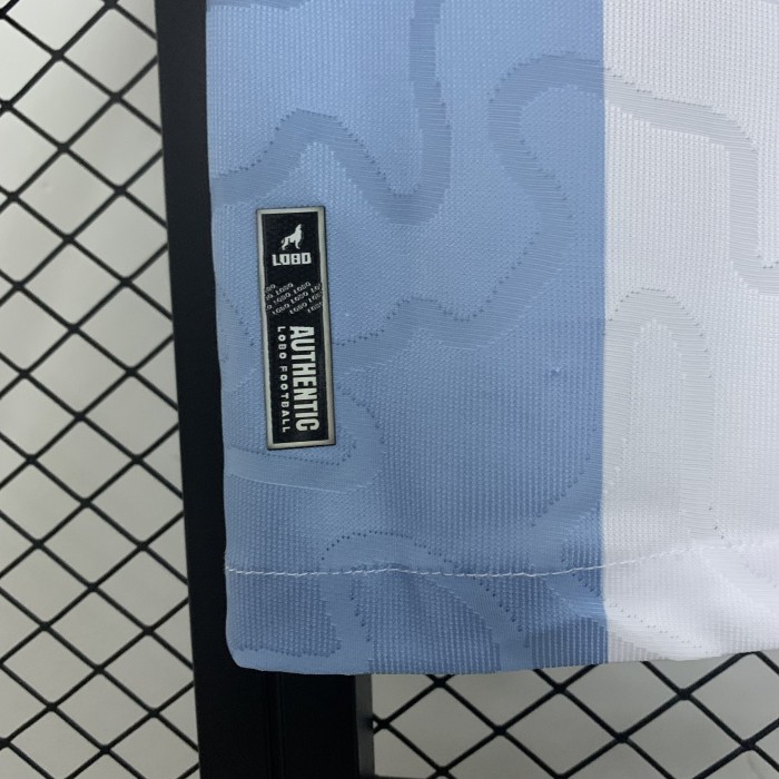 Fan Version 2025-2026 Paysandu Sport Club Home Soccer Jersey Football Shirt