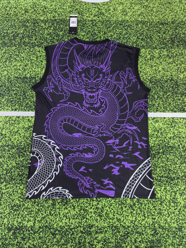 Fan Version 2025-2026 Real Madrid Black/Purple Dragon Soccer Vest