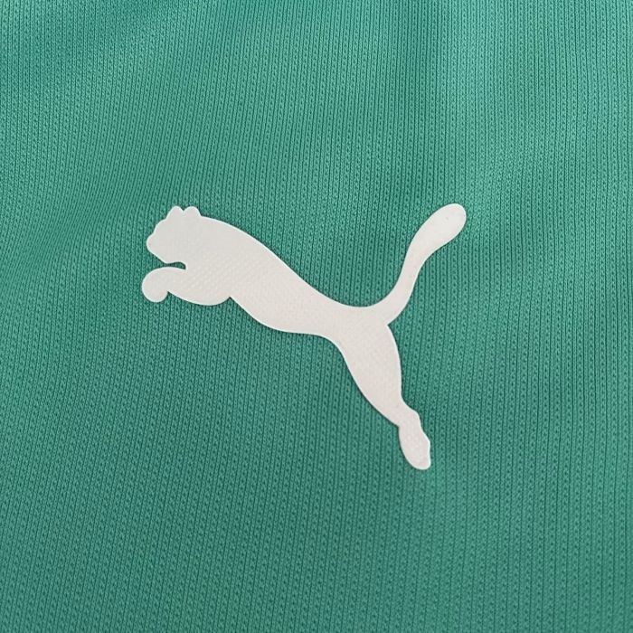 Retro Jersey Palmeiras 2019-2020 Third Away Green Soccer Jersey Vintage Football Shirt