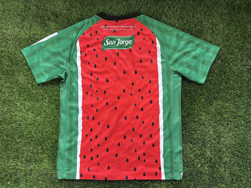 Fans Version 2025-2026 Club Deportivo Palestino Watermelon Version Soccer Jersey