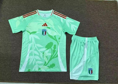 Adult Uniform 2025 Italy Green Soccer Jersey Shorts Men's Football Kit