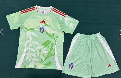 Adult Uniform 2025 Italy Light Green Soccer Jersey Shorts Men's Football Kit