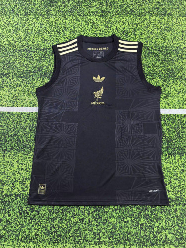 Fan Version 2025-2026 Mexico Black Soccer Vest
