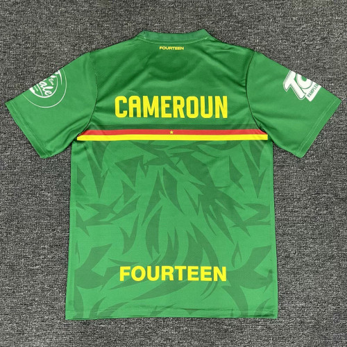 Fan Version 2025 Cameroon Green Soccer Training Jersey Cameroun Football Shirt