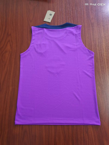 2025-2026 Barcelona Purple Soccer Training Vest Football Shirt