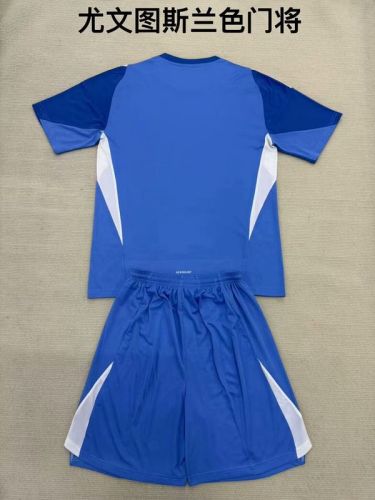 Adult Uniform 2025-2026 Juventus Blue Goalkeeper Soccer Jersey Shorts Men's Football Set