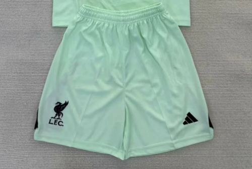Fan Version 2025-2026 Liverpool Green Goalkeeper Soccer Shorts Football Shorts