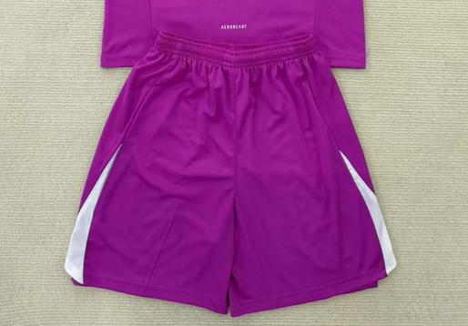 Fan Version 2025-2026 New York Red Bulls Purple Goalkeeper Soccer Shorts Football Shorts