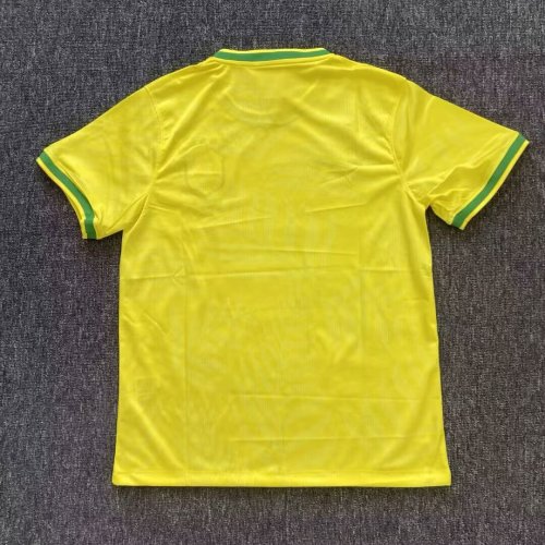 Fan Version 2025 Brazil Yellow Special Edition Soccer Jersey Brasil Camisetas de Futbol