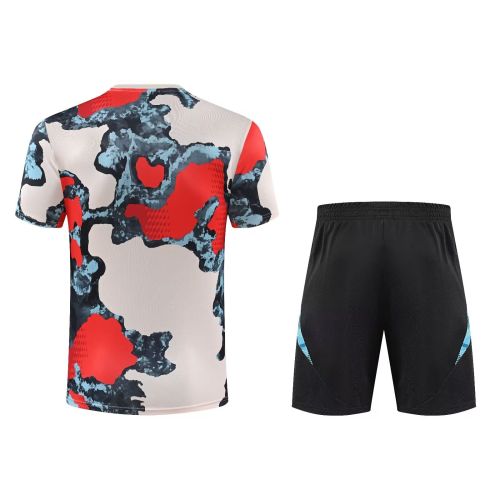 Adult Uniform 2025-2026 Bayern Munich Grey/Blue/Red Soccer Training Jersey and Shorts Football Kits