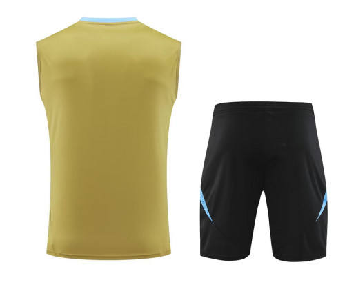 Adult Uniform 2025-2026 Argentina Gold/Blue Soccer Training Vest and Shorts Football Set