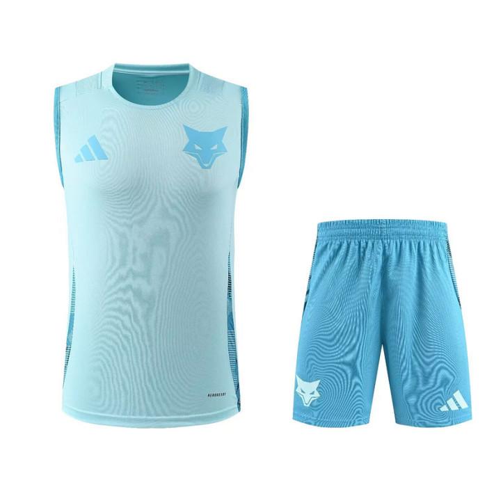 Adult Uniform 2025-2026 Cruzeiro Light Blue Soccer Training Vest and Shorts Football Set