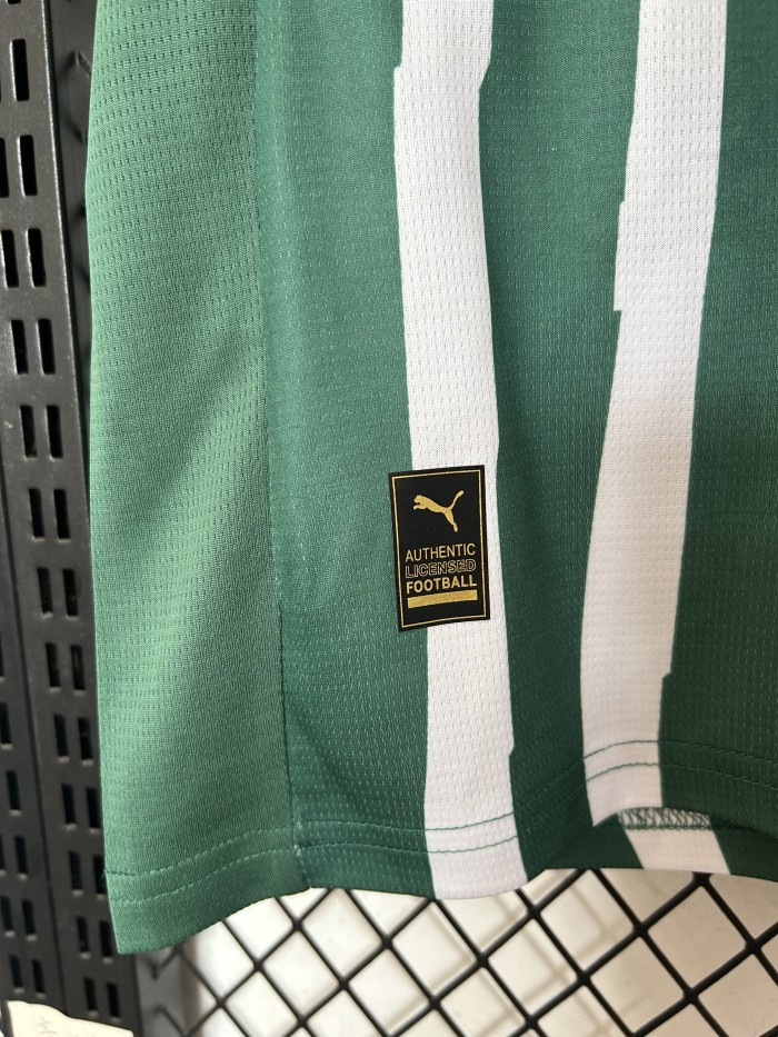 Fan Version 2025-2026 Palmeiras Special Edition Soccer Jersey Football Shirt