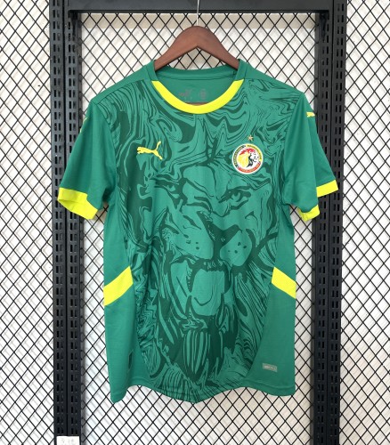 Fan Version 2025 Senegal Away Green Soccer Jersey Football Shirt