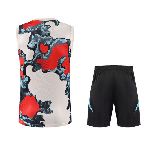 Adult Uniform 2025-2026 Bayern Munich Grey/Blue/Red Soccer Training Vest and Shorts Football Set