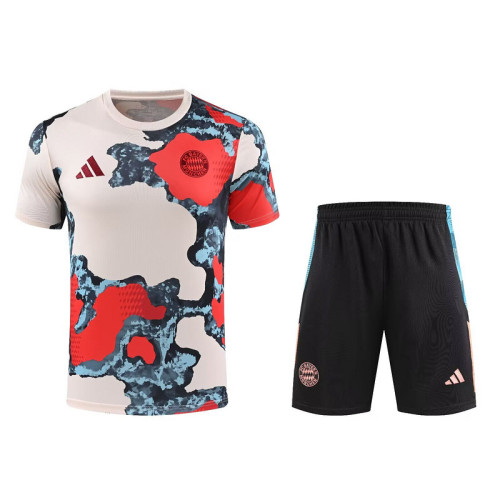Adult Uniform 2025-2026 Bayern Munich Grey/Blue/Red Soccer Training Jersey and Shorts Football Kits