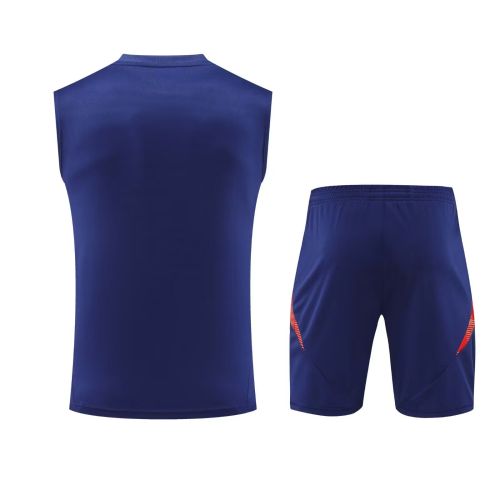 Adult Uniform 2025-2026 Spain Dark Blue Soccer Training Vest and Shorts Football Set