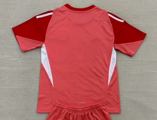 Fan Version 2025-2026 New York Red Bulls Red Goalkeeper Soccer Jersey Football Shirt
