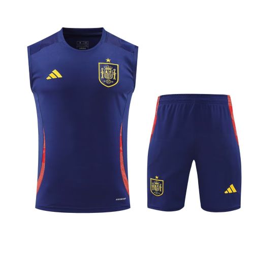 Adult Uniform 2025-2026 Spain Dark Blue Soccer Training Vest and Shorts Football Set