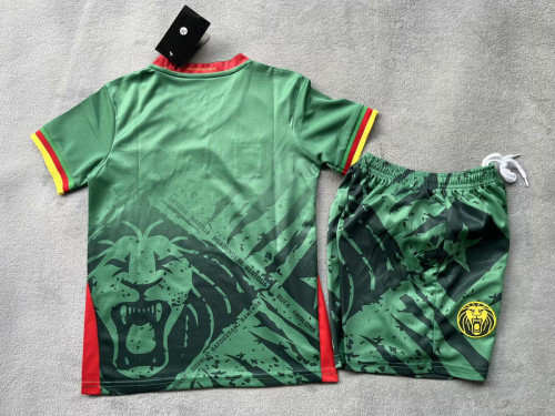 Youth Uniform Kids Kit 2025 Cameroon Home Soccer Jersey Shorts Cameroun Green Child Football Set