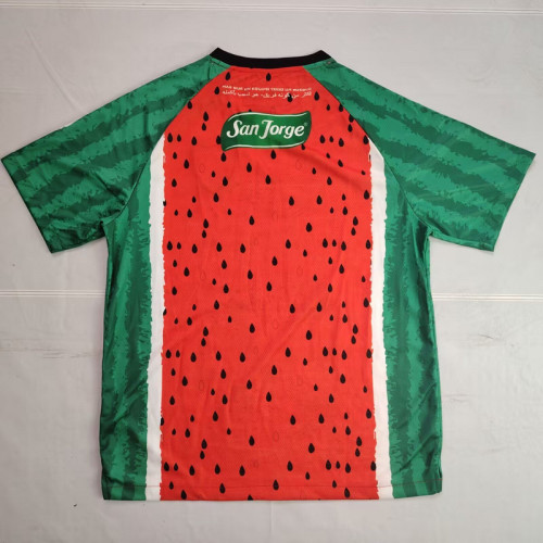 Fans Version 2025-2026 Club Deportivo Palestino Green/Red Soccer Jersey