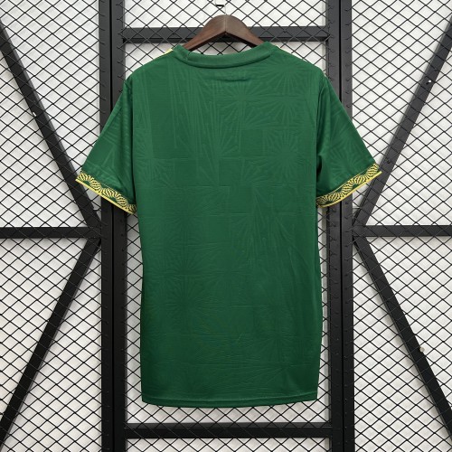 Fan Version 2025 Mexico Green Special Edition Soccer Jersey Football Shirt