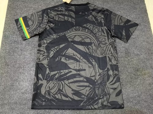 Fan Version 2025 Brazil Black/Grey Special Edition Soccer Jersey Brasil Camisetas de Futbol
