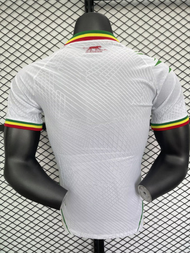 Player Version 2025 Mali Home Soccer Jersey Football Shirt