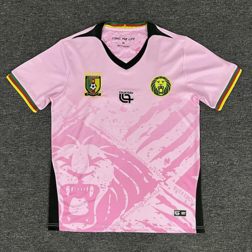 Fan Version 2025 Cameroon Pink Soccer Training Jersey Cameroun Football Shirt