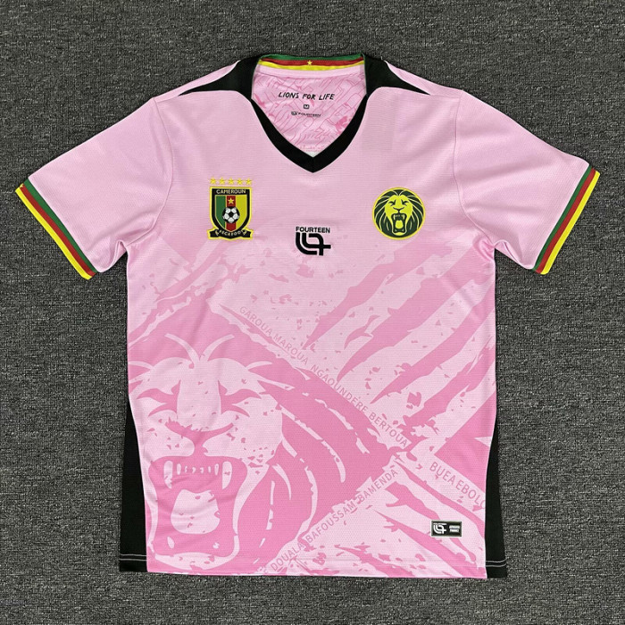 Fan Version 2025 Cameroon Pink Soccer Training Jersey Cameroun Football Shirt