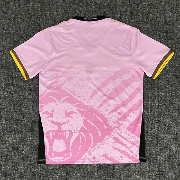 Fan Version 2025 Cameroon Pink Soccer Training Jersey Cameroun Football Shirt