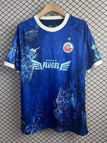 Fans Version 2025-2026 Hansa Rostock Blue Special Edition Soccer Jersey Football Shirt