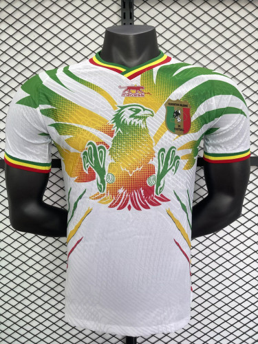 Player Version 2025 Mali Home Soccer Jersey Football Shirt