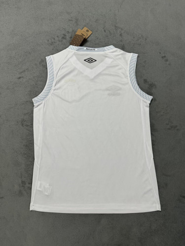 Fan Version 2025-2026 Santos Home Soccer Vest