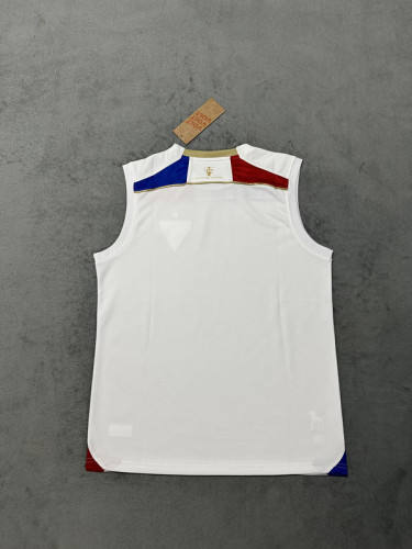 Fans Version 2025-2026 Fortaleza White Soccer Vest Football Shirt