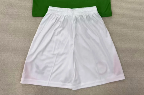 2025 Ireland Home Soccer Shorts Football Shorts