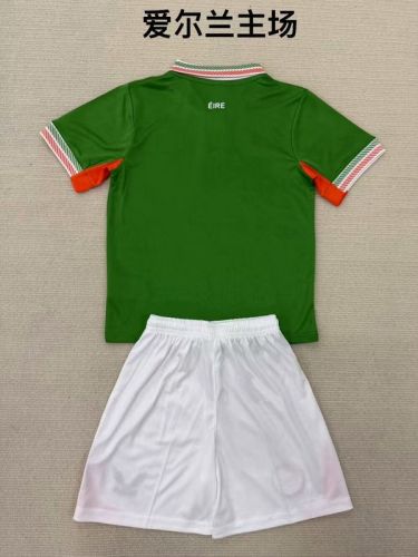 Adult Uniform 2025 Ireland Home Soccer Jersey Shorts Men's Football Kit