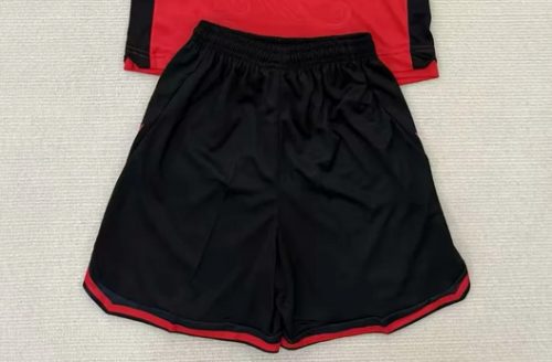 Fan Version 2025-2026 Albania Home Soccer Shorts Football Shorts