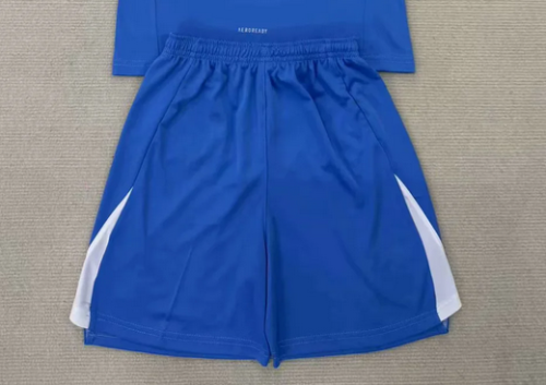 Fan Version 2025-2026 Bayern Munich Blue Soccer Shorts Football Shorts