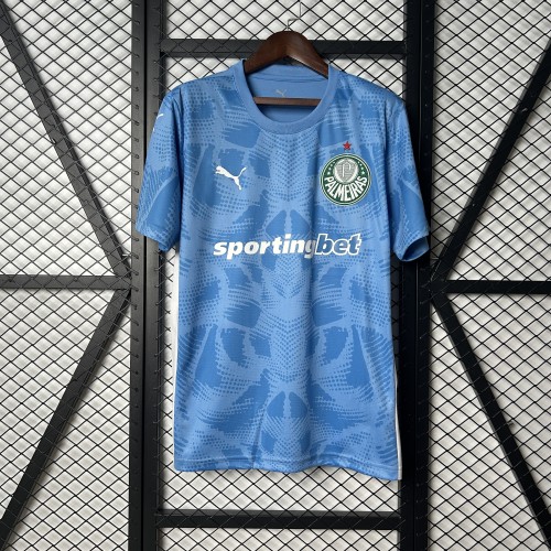 Fan Version 2025-2026 Palmeiras Blue Goalkeeper Soccer Jersey Football Shirt