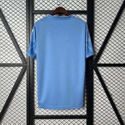 Fan Version 2025-2026 Palmeiras Blue Goalkeeper Soccer Jersey Football Shirt