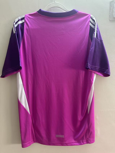 Fan Version 2025-2026 Austin Purple Goalkeeper Soccer Jersey Football Shirt