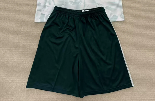 2025 Ireland Away Soccer Shorts Football Shorts