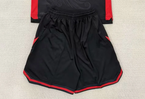 Fan Version 2025-2026 Albania Third Away Black Soccer Shorts Football Shorts