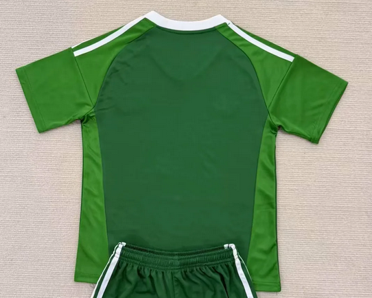 Fan Version Argentina 2025 Green Goalkeeper Soccer Jersey Football Shirt