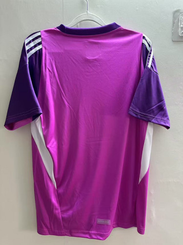 Fan Version Argentina 2025 Purple Goalkeeper Soccer Jersey Football Shirt
