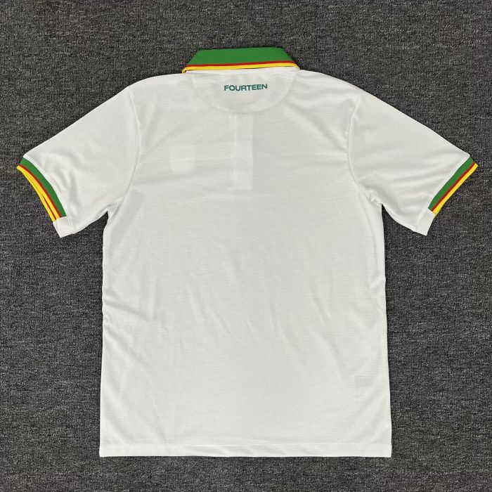 Fan Version 2025 Cameroon White Soccer Training Polo Cameroun Football Shirt