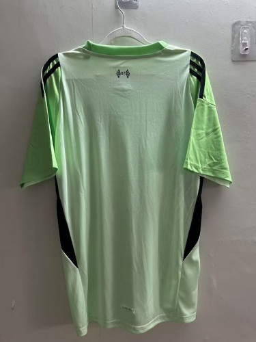 Fan Version 2025-2026 Liverpool Green Goalkeeper Soccer Jersey Football Shirt