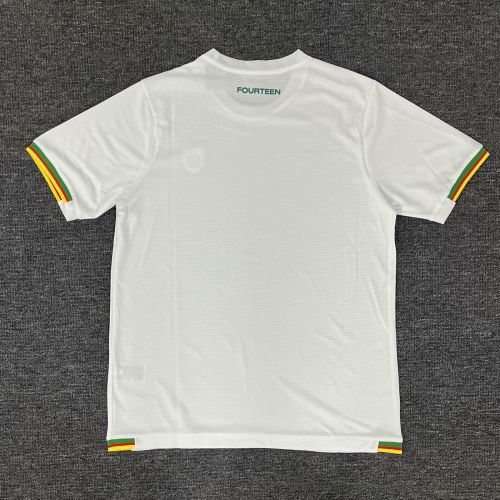 Fan Version 2025 Cameroon White Soccer Training Jersey Cameroun Football Shirt