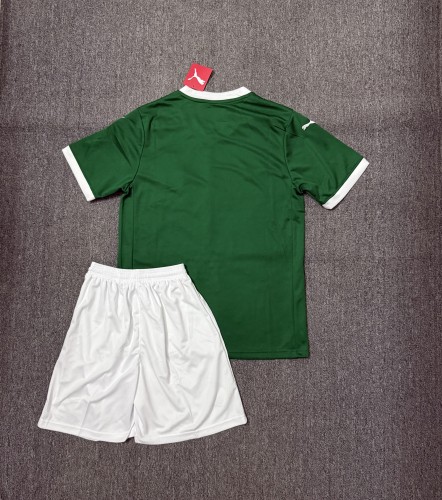 Adult Uniform 2025-2026 Palmeiras Home Soccer Jersey Shorts Men's Football Kit